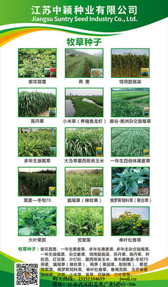 深耕苗木種植，專業(yè)咨詢服務(wù)助力綠色產(chǎn)業(yè)發(fā)展